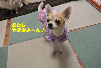 20130107+031_convert_20130107104836.jpg