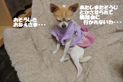 20130107+035_convert_20130107105035.jpg