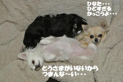 20130109+001_convert_20130109103558.jpg