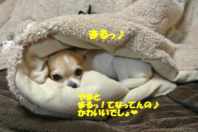20130109+004_convert_20130109103722.jpg