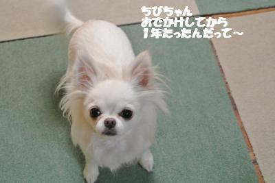 20130111+005_convert_20130115160331.jpg