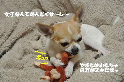 20130111+007_convert_20130111103353.jpg