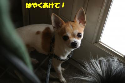 20130115+001_convert_20130115104328.jpg