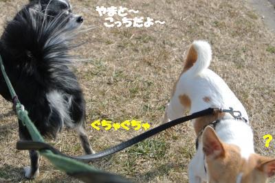 20130115+003_convert_20130115104429.jpg
