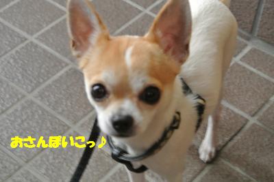 20130115+006_convert_20130115104302.jpg