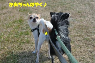 20130115+013_convert_20130115104611.jpg