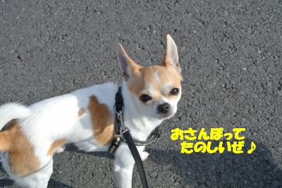 20130115+016_convert_20130115104647.jpg