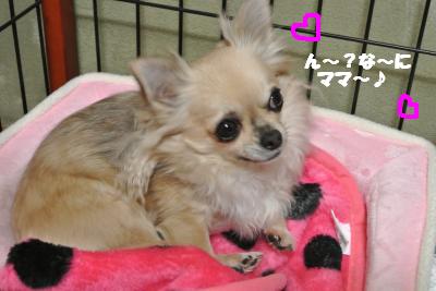 20130116+003_convert_20130116105153.jpg
