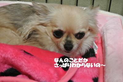 20130116+004_convert_20130116105218.jpg