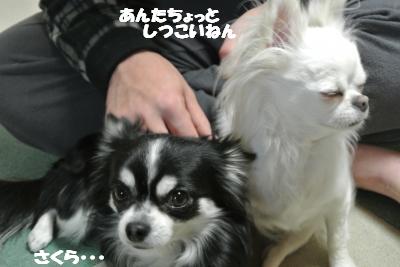 20130116+008_convert_20130116105322.jpg