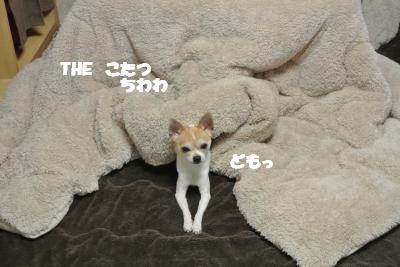 20130121+010_convert_20130405101812.jpg