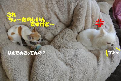 20130213+004_convert_20130213140853.jpg