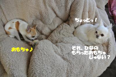 20130213+005_convert_20130213140920.jpg