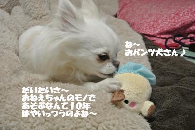 20130213+008_convert_20130213141101.jpg