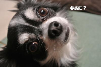 20130214+003_convert_20130218161513.jpg