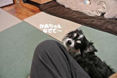 20130214+004_convert_20130218161612.jpg