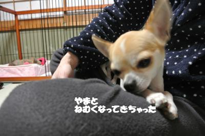 20130214+007_convert_20130218161345.jpg