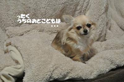 20130214+017_convert_20130218162135.jpg