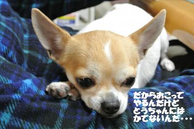 20130215+002_convert_20130215094530.jpg