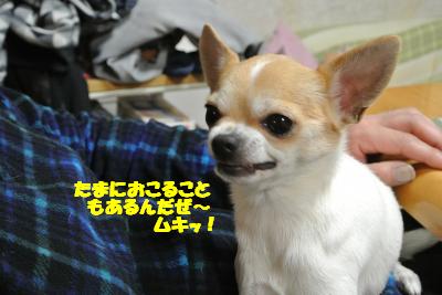20130215+004_convert_20130215094421.jpg