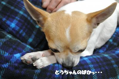 20130215+005_convert_20130215094600.jpg