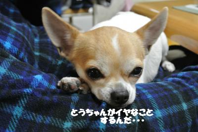 20130215+006_convert_20130215094453.jpg