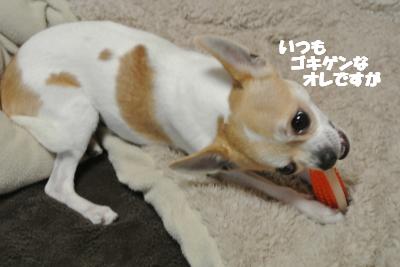 20130215+007_convert_20130215094115.jpg