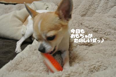 20130215+008_convert_20130215094237.jpg
