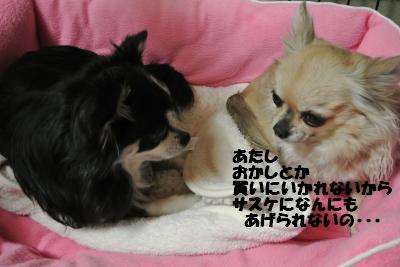 20130215+014_convert_20130215093653.jpg