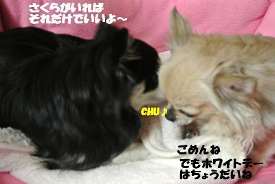20130215+015_convert_20130215093737.jpg