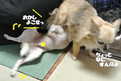 20130215+024_convert_20130215093952.jpg