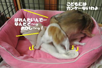 20130215+026_convert_20130215094031.jpg