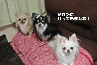 20130217+001_convert_20130217234506.jpg