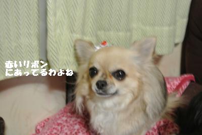 20130217+004_convert_20130217234541.jpg