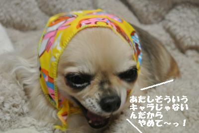 20130217+012_convert_20130217234844.jpg