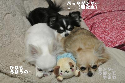 20130219+004_convert_20130219234213.jpg