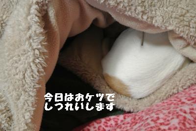 20130219+007_convert_20130219234449.jpg