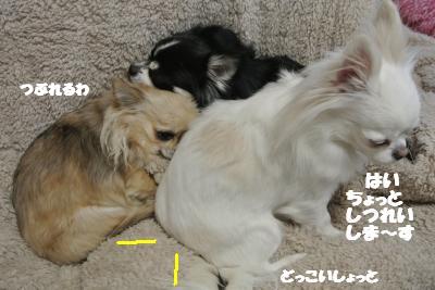 20130221+001_convert_20130222135633.jpg