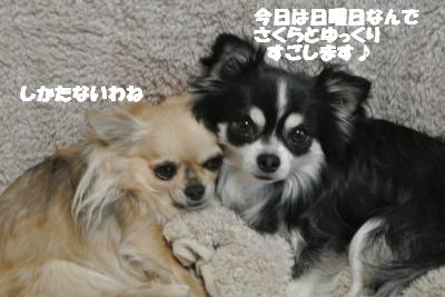 20130221+002_convert_20130222135503.jpg