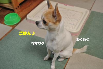 20130221+017_convert_20130225130902.jpg