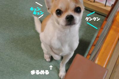 20130221+033_convert_20130222135330.jpg