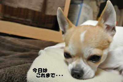 20130221+047_convert_20130225131006.jpg