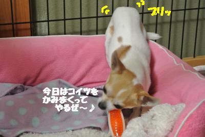 20130221+053_convert_20130222134653.jpg