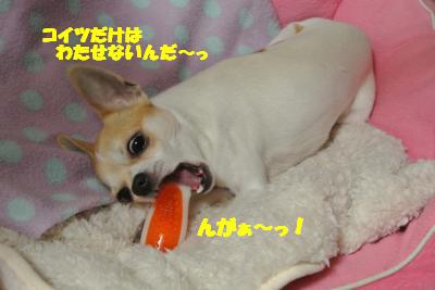 20130221+065_convert_20130222135117.jpg