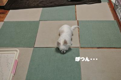 20130222+001_convert_20130222105754.jpg