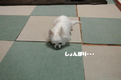 20130222+002_convert_20130222105821.jpg