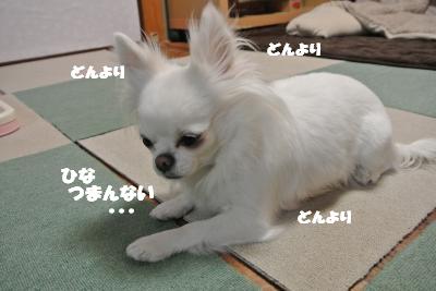 20130222+005_convert_20130222105915.jpg