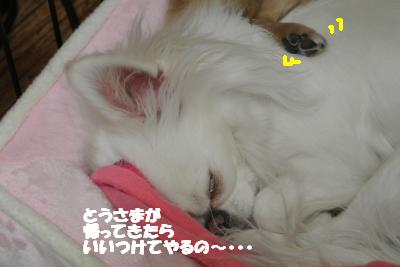 20130222+006_convert_20130222110040.jpg
