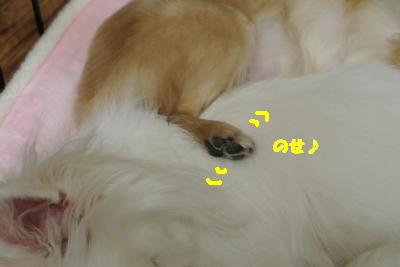20130222+007_convert_20130222110114.jpg
