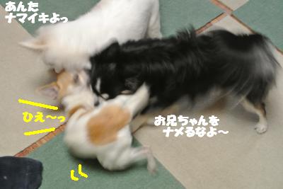 20130225+004_convert_20130225131032.jpg